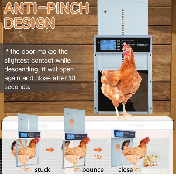 Automatic Chicken  Door - Picture 5 of 7